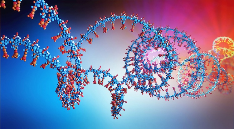 遺伝子治療から進化の謎まで、RNAが生命科学の常識を塗り替える