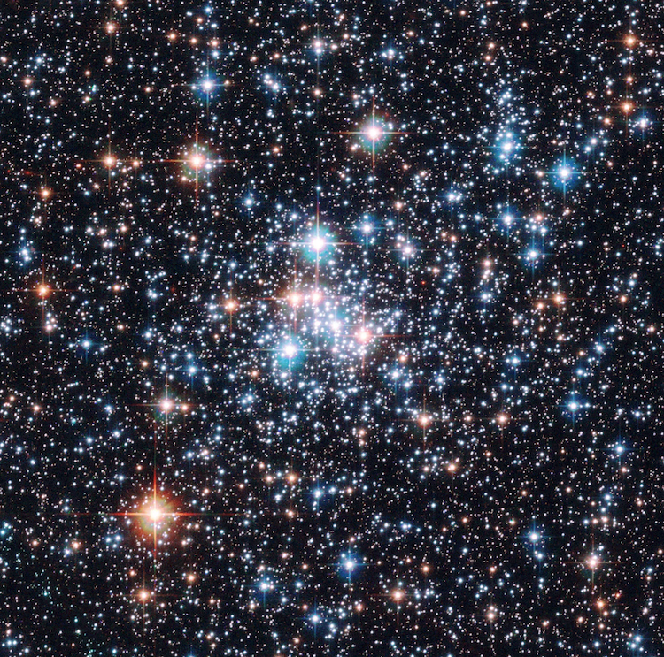 昆虫が星を見て旅をする!ボゴングガが解き明かす驚異のナビゲーション能力