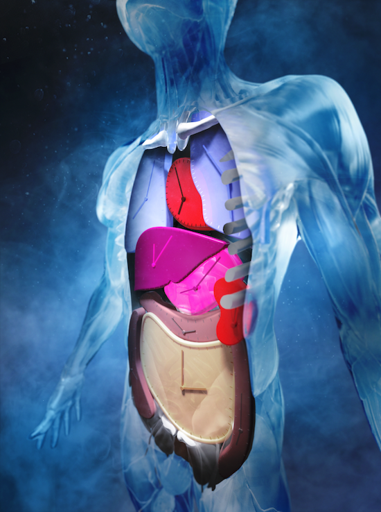 あなたの脳は実年齢より若い？血液でわかる生物学的年齢と将来の病気リスク