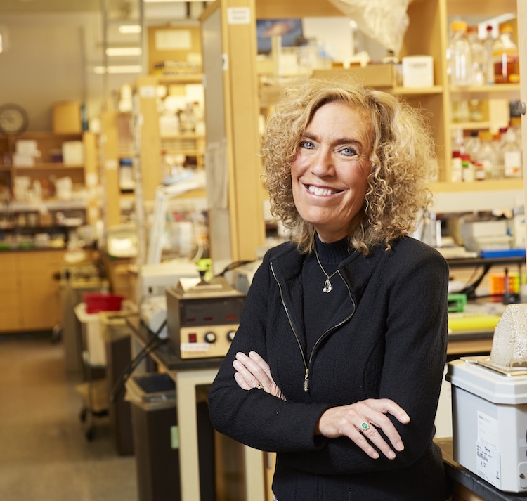 髪か皮膚か？幹細胞の「運命の決断」を司る栄養素セリンの役割