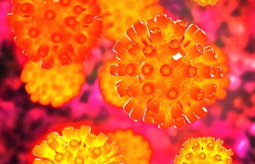 パーキンソン病の原因は「無害なウイルス」？脳内での意外な関連性が明らかに