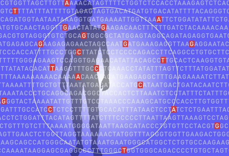 肥満リスクは遺伝子で予測できる？500万人のデータが示す早期予防の可能性
