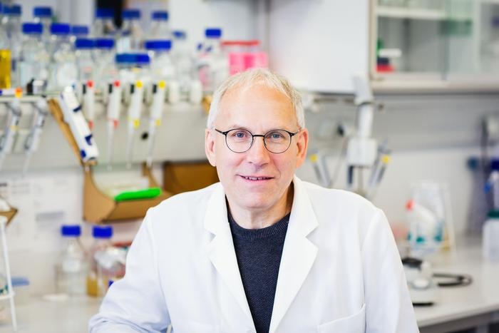 働きすぎると酵素もストライキ？β-カロテンが解決の鍵に！