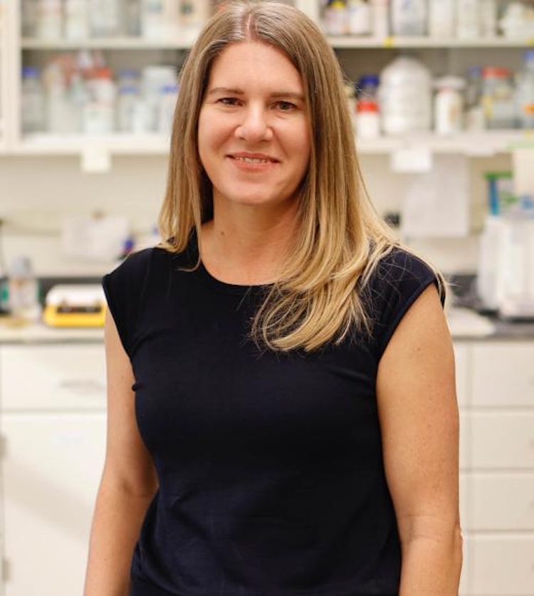 AIで植物の免疫をアップグレード！病気に強い作物を作る新技術