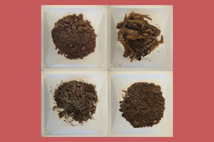 創薬の金脈！培養土壌に眠る「微生物ダークマター」から新抗生物質を発見！培養不要のゲノム解析技術とは