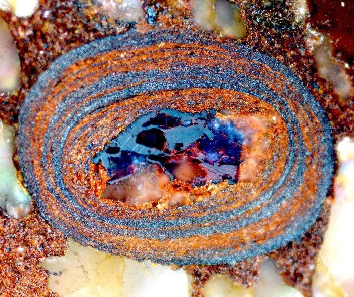 地球史の定説を覆す発見！古代の海の炭素量は予想のわずか1%だった？