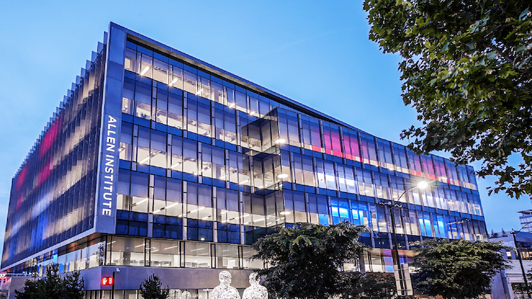 SYNGAP1関連疾患の遺伝子治療、マウスで症状逆転に成功