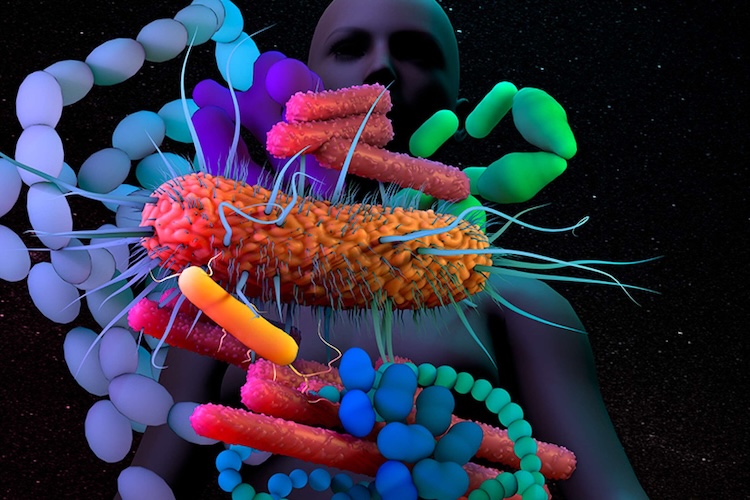 「善玉菌」が牙をむく？最新メタゲノム解析で迫る冠動脈疾患と腸内環境の真実