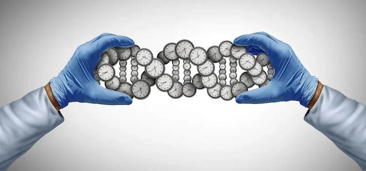 人類進化の新発見！DNAメチル化パターンで脳の発達を追跡
