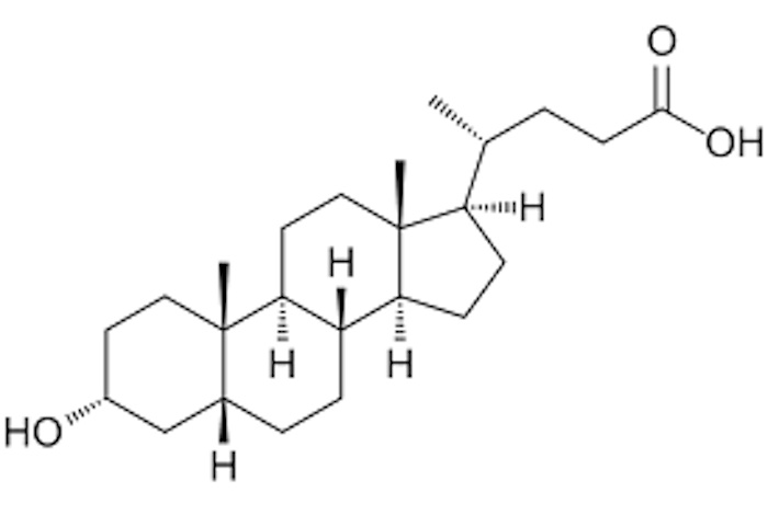 リトコール酸が老化を抑制：カロリー制限効果を再現する分子メカニズムを解明