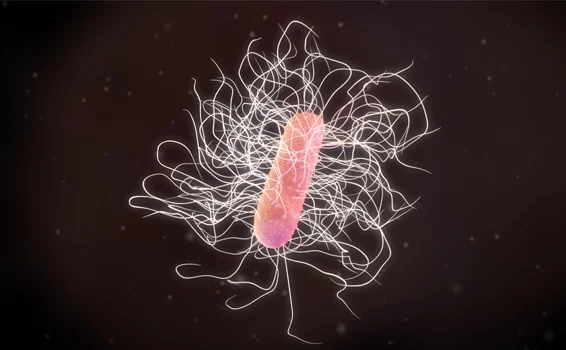 個別化モデルが拓く未来：腸内細菌「C. diff」の感染リスクを予測し、あなたに合ったプロバイオティクスで予防