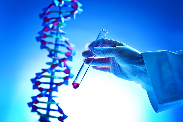 失われた光を取り戻す!遺伝子治療が先天性重度視覚障害の子供たちに奇跡をもたらす