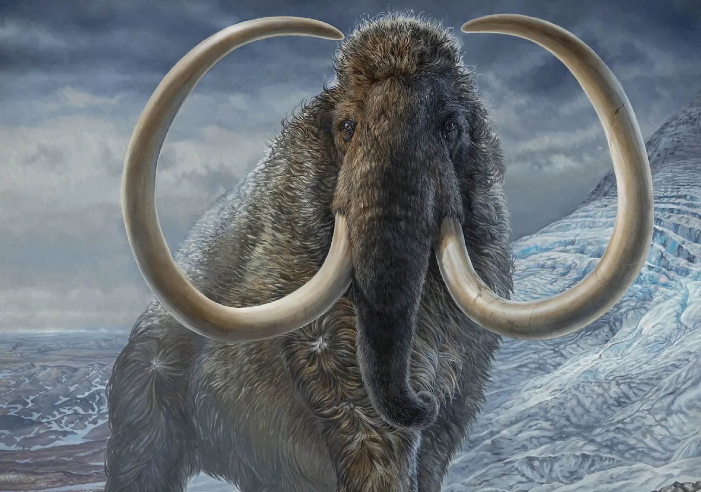 世界初！4万年前のマンモスからRNAの抽出に成功。氷河期の生命の鼓動を解明