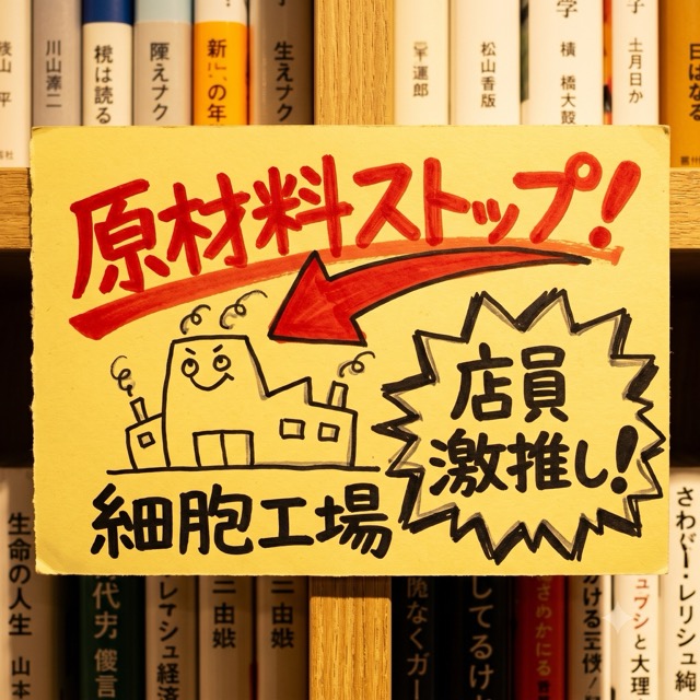 2 1中