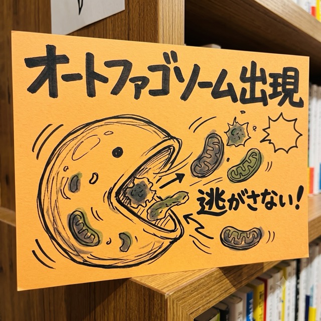 2 2中