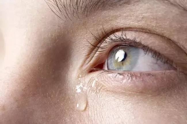 涙から分離したエクソソームを解析することで病気の診断ができるようになるかもしれない