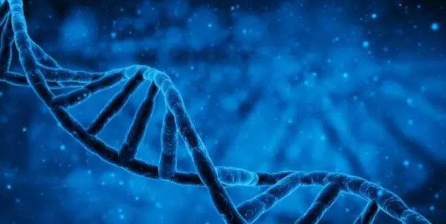 失読症に関連する42のDNA変異を大規模遺伝子研究で特定。両手利きとの関連も明らかに。