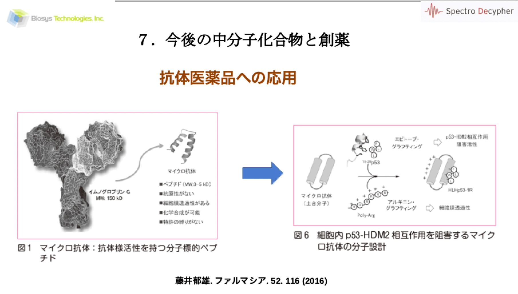 中分子有機化合物の創薬への新たな利用法 バイオマーケットjp