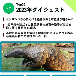 生命科学雑誌バイオクイックニュース：2023年12月号 ダイジェスト版